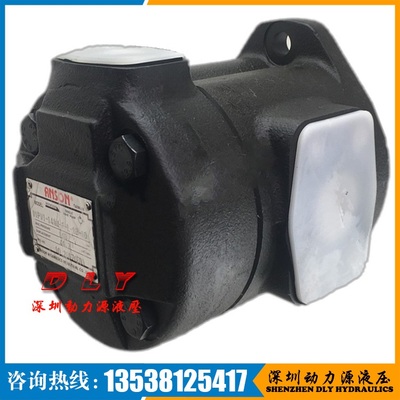 ANSON安颂叶片泵IVPQ4-42AM-F-R-1B-10,IVP4-42AM-F-R-86B-10