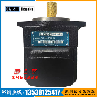 DENISON丹尼逊叶片泵T6C-003-1R02-A1,T6C-003-3R00-B1