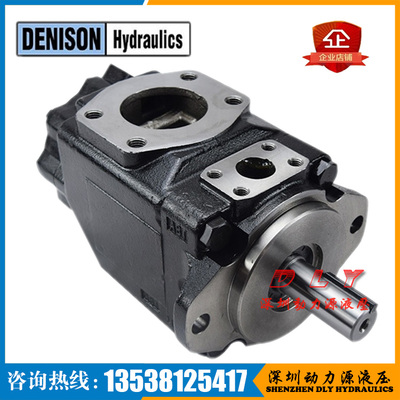 DENISON双联叶片泵T6ED-042-014-1R00-A1，T6ED-042-024-2L02-B1